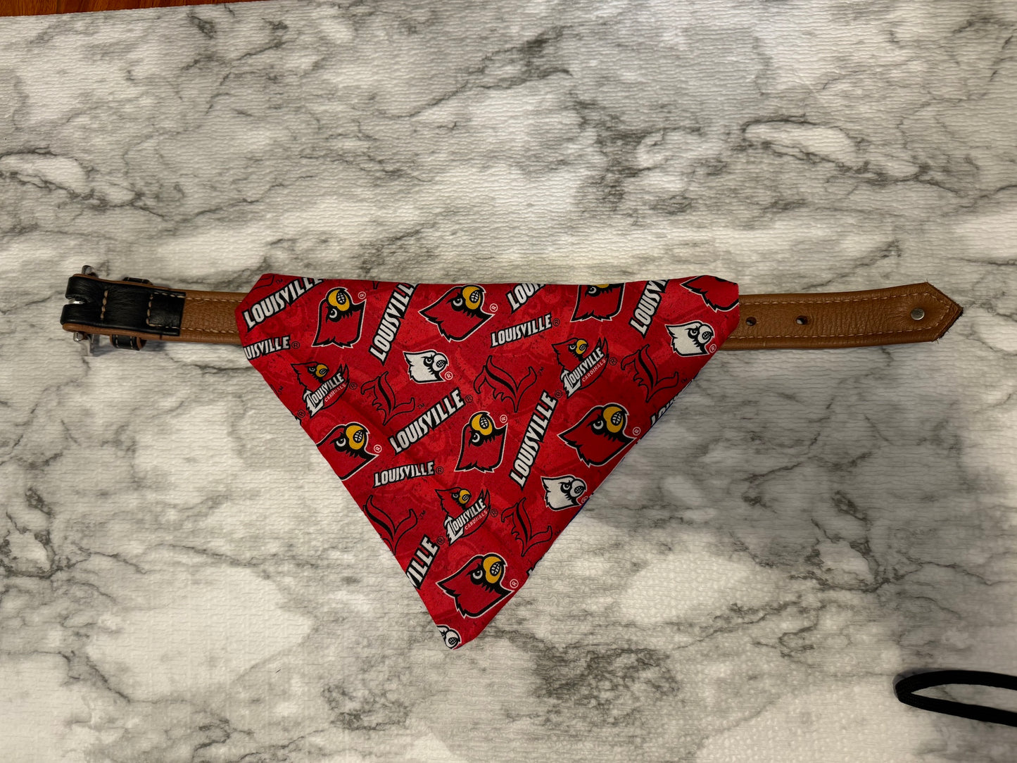 Reversible Collar Loop Pet Bandana Kentucky and Louisville