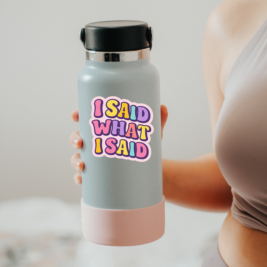 I said what I said Sticker