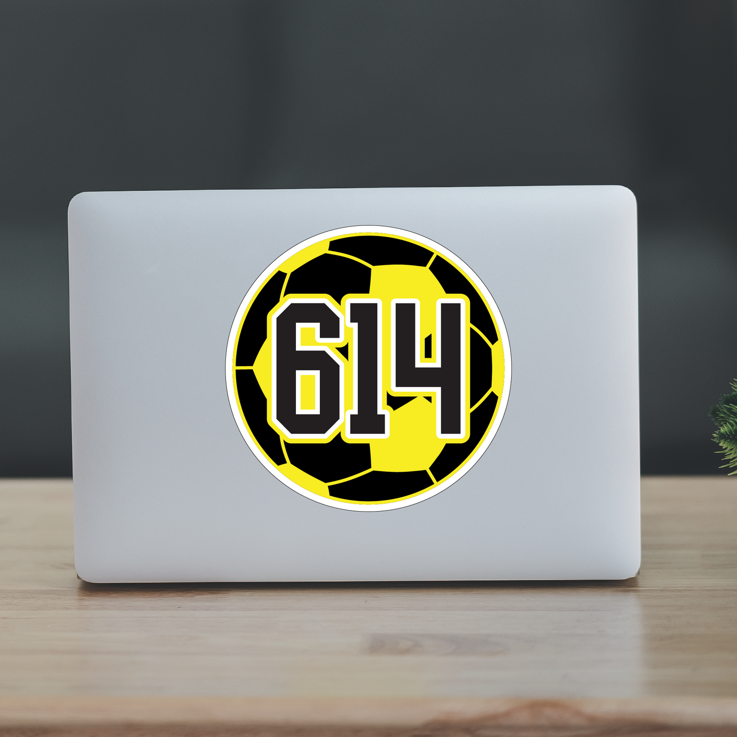 614 Soccer Ball Sticker