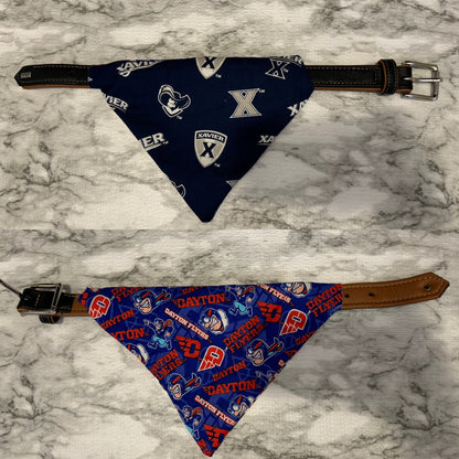 Reversible Collar Loop Pet Bandana Xavier and Dayton