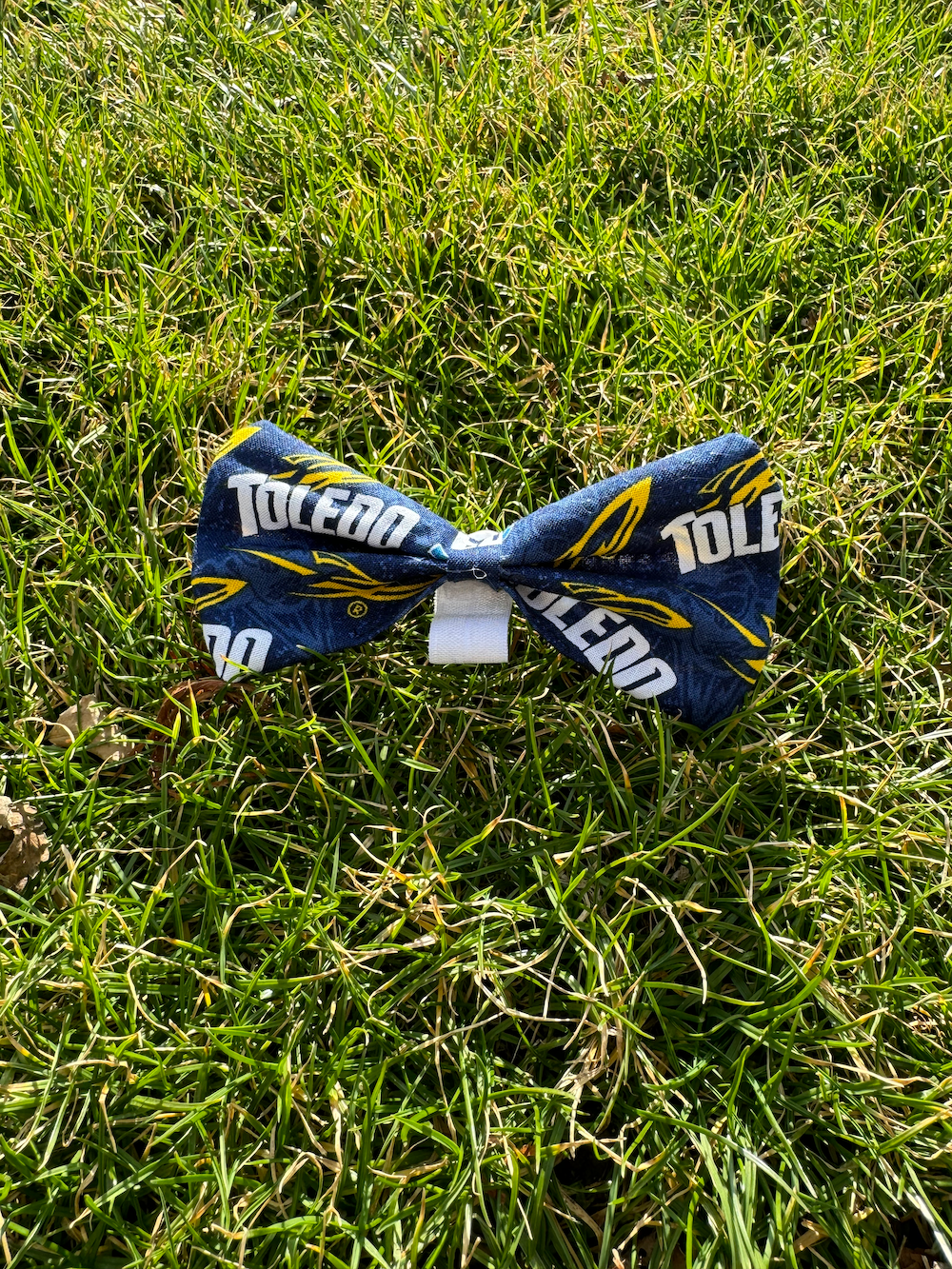 Toledo Pet Bow Tie