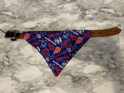 Reversible Collar Loop Pet Bandana Xavier and Dayton