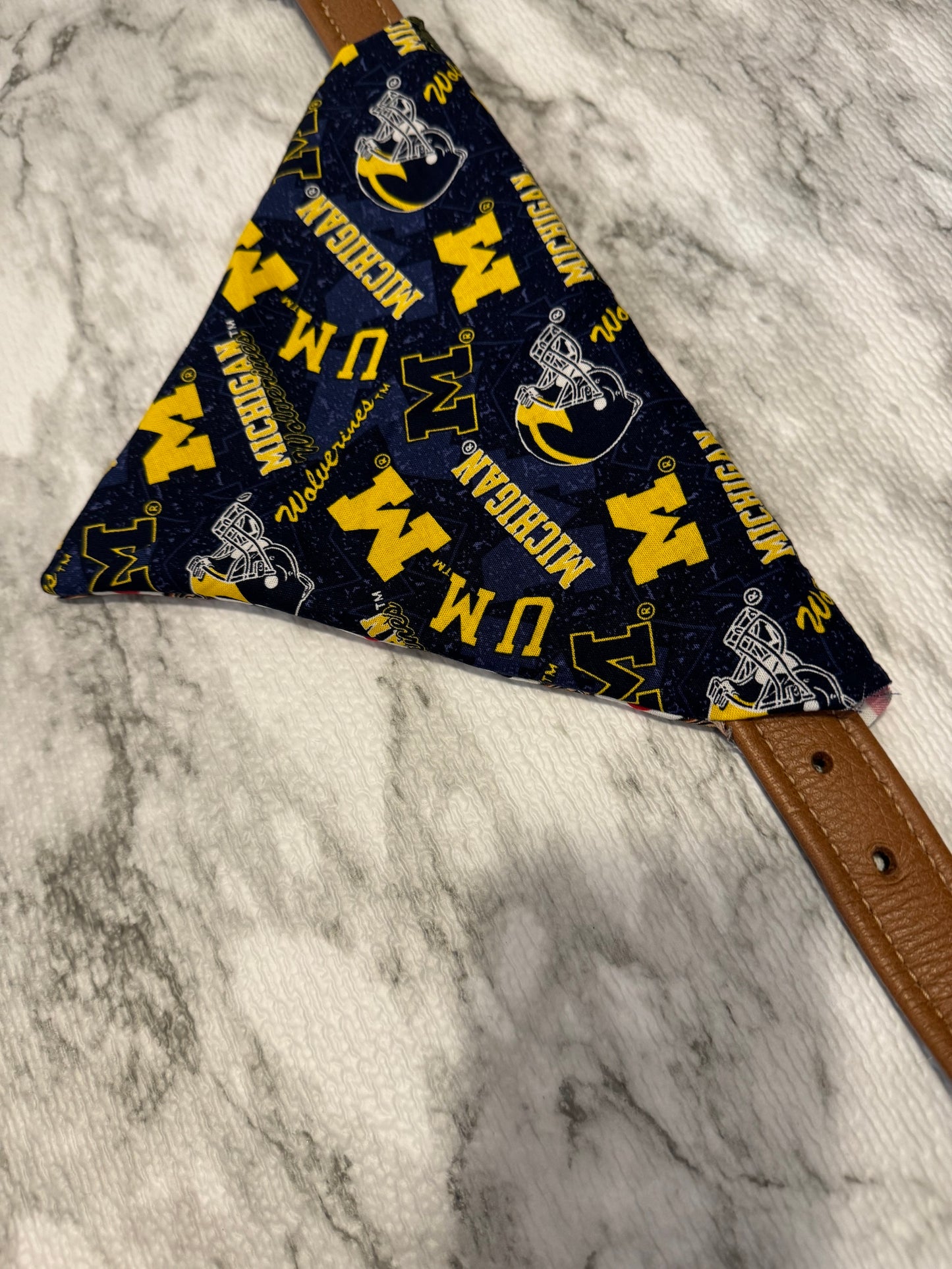 Reversible Collar Loop Pet Bandana Michigan and Ohio State