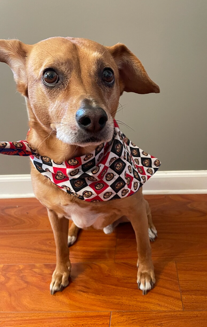 Reversible Dayton and Ohio Pet Bandana